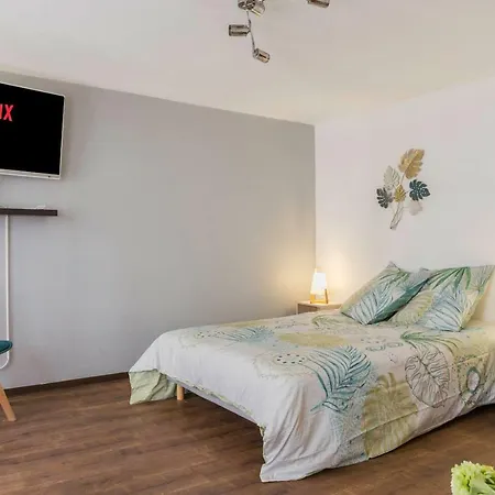 Apartment The Fleuret -top Location - Petite Venise Colmar